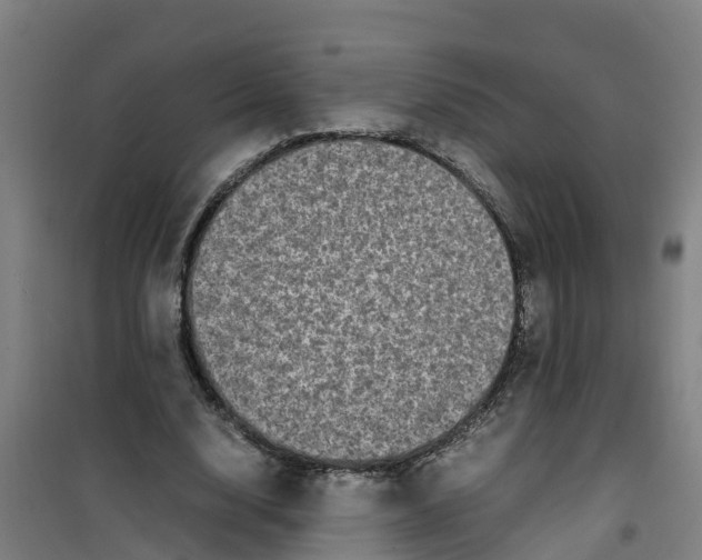 X0000100350632200807031815