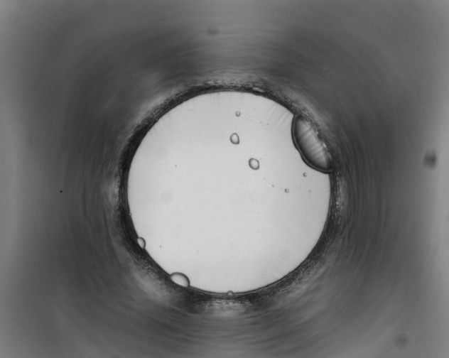 X0000100350636200807031815