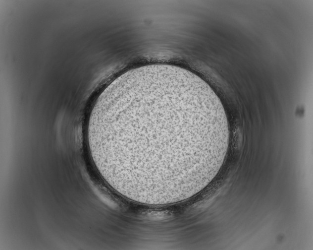 X0000100350638200807031815