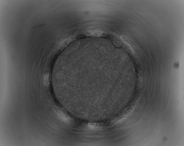 X0000100350641200807031815