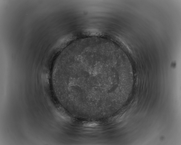 X0000100350643200807031815