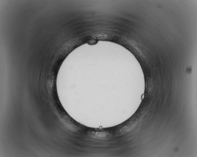 X0000100350645200807031815