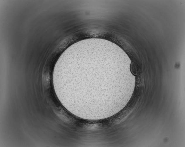 X0000100350646200807031815