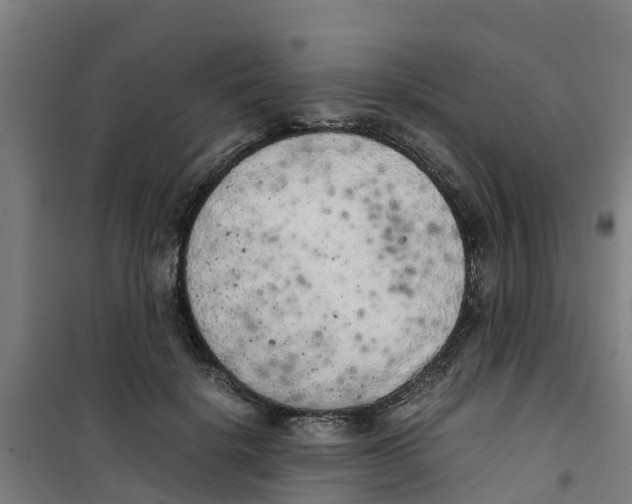 X0000100350652200807031815