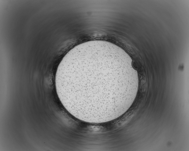 X0000100350654200807031815