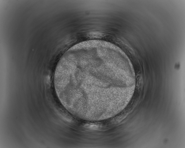 X0000100350655200807031815