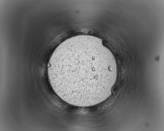 X0000100350656200807031815