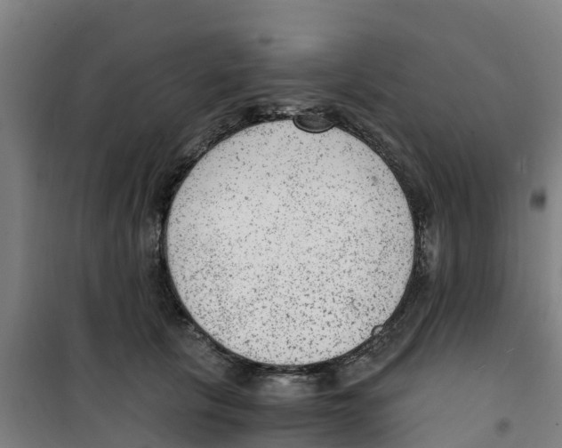 X0000100350657200807031815