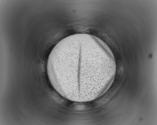 X0000100350658200807031815