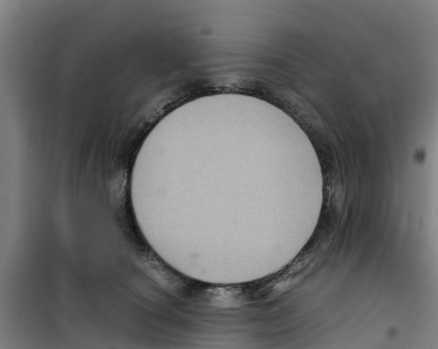 X0000100350660200807031815