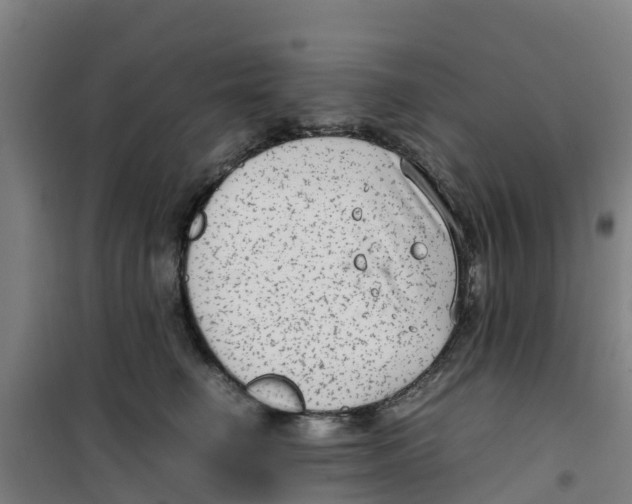 X0000100350662200807031815