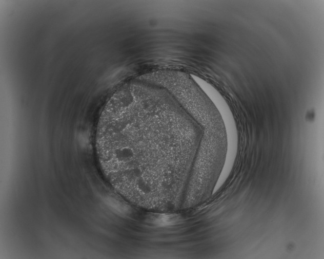 X0000100350663200807031815