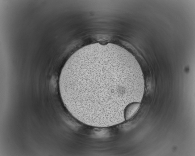 X0000100350667200807031815