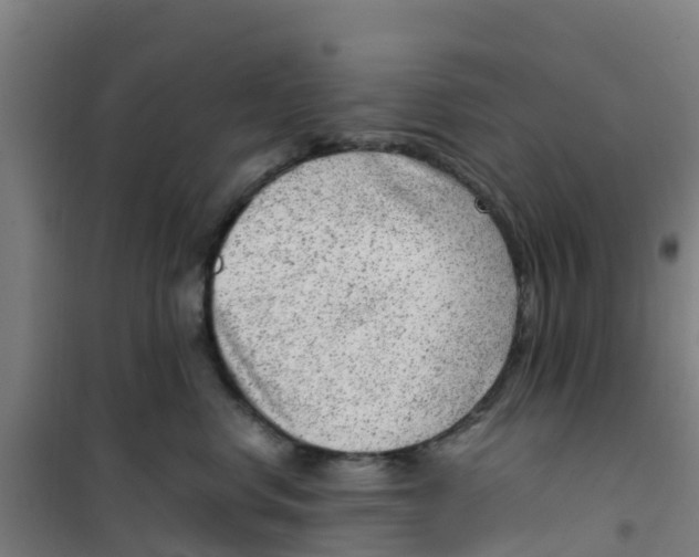 X0000100350668200807031815