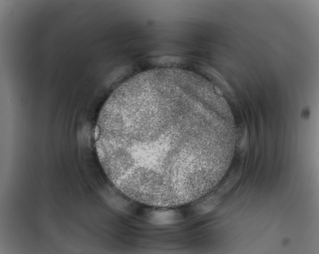 X0000100350669200807031815