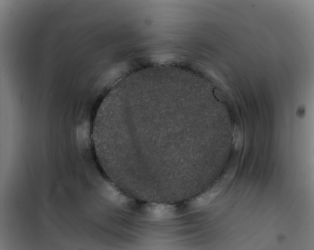 X0000100350670200807031815