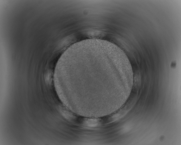 X0000100350671200807031815