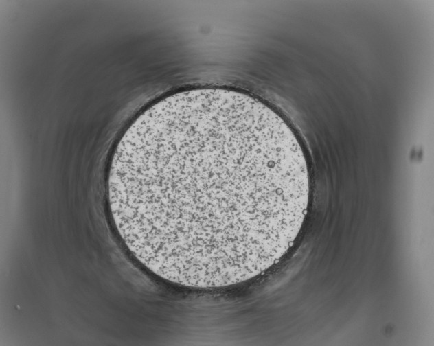 X0000100350673200807031815