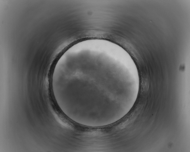 X0000100350674200807031814