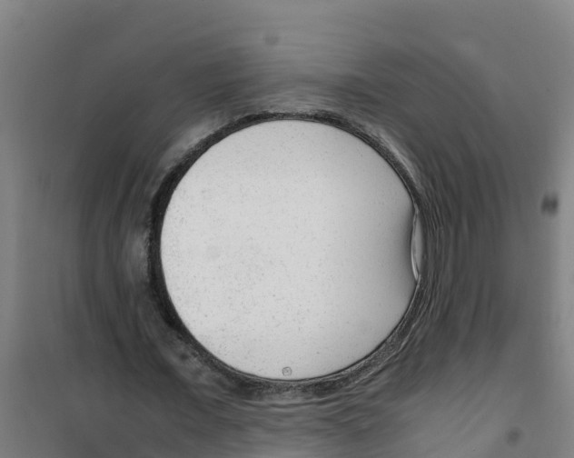 X0000100350675200807031814