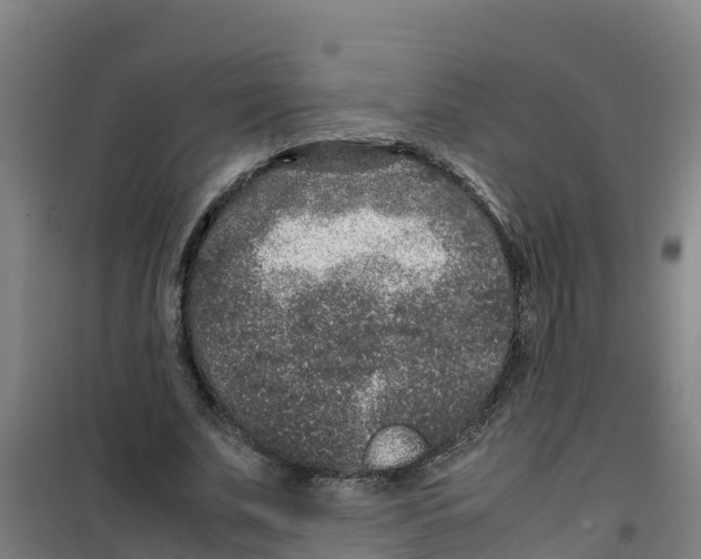 X0000100350679200807031814