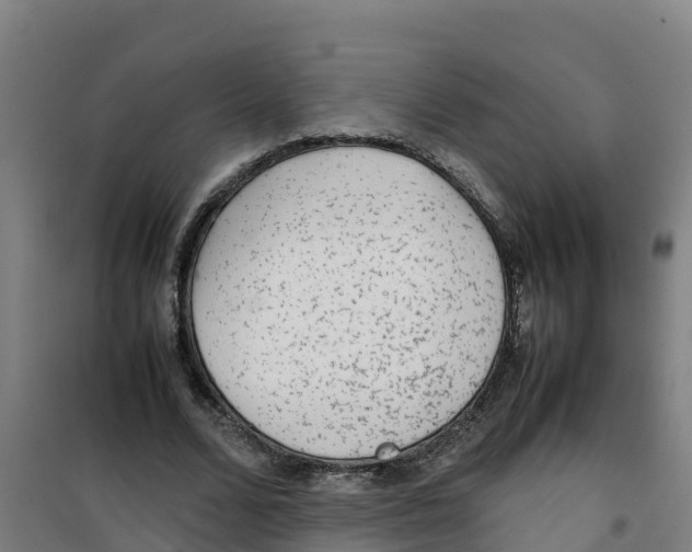 X0000100350680200807031814