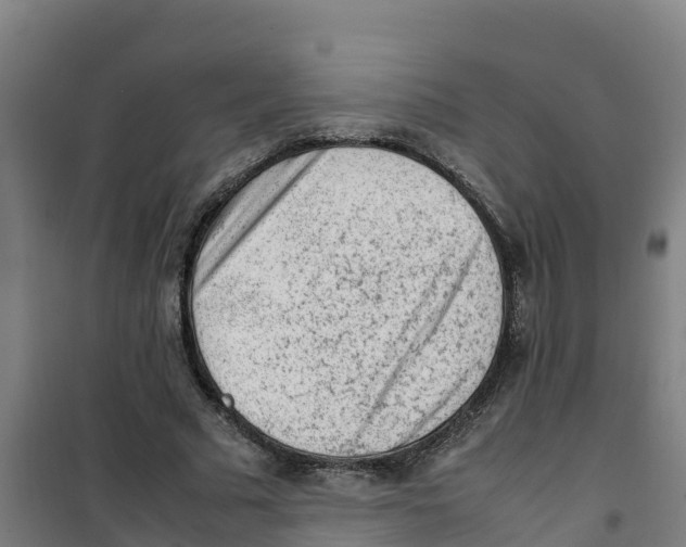 X0000100350681200807031814