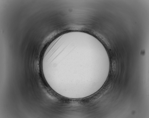 X0000100350682200807031814