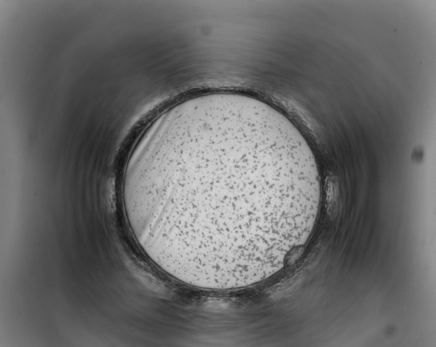 X0000100350684200807031814