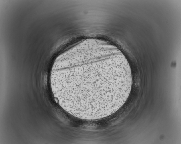 X0000100350685200807031814