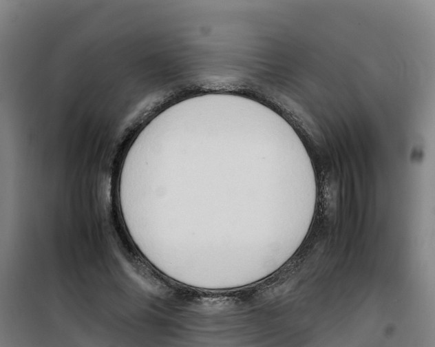 X0000100350686200807031814