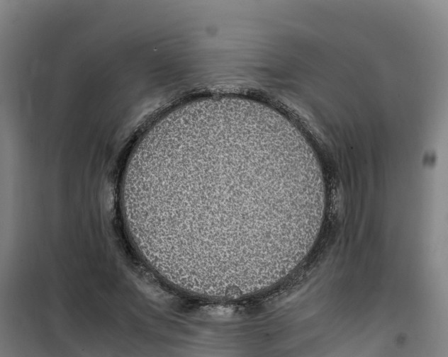 X0000100350687200807031814