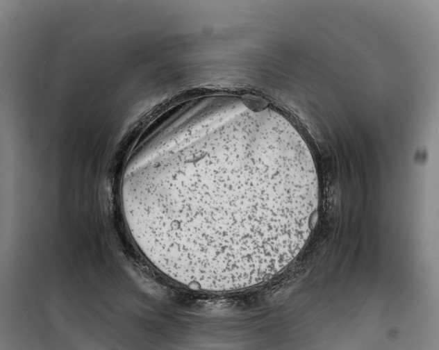 X0000100350688200807031814