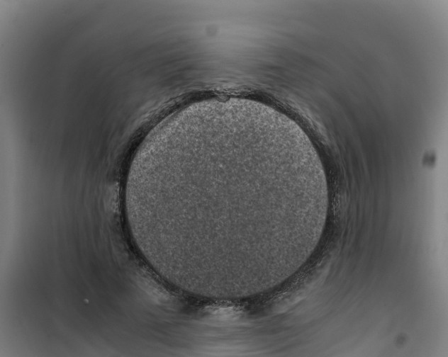 X0000100350689200807031814