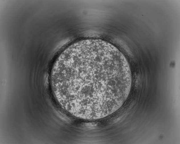 X0000100350692200807031814