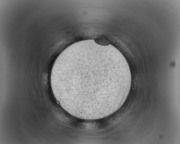 X0000100350693200807031814