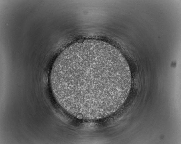 X0000100350695200807031814