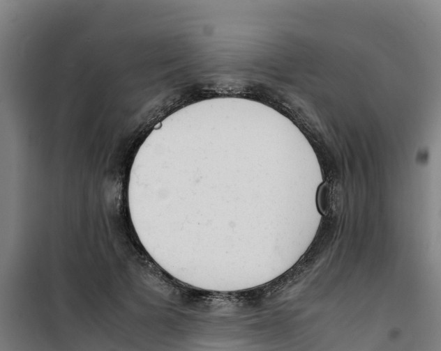 X0000100350697200807031814