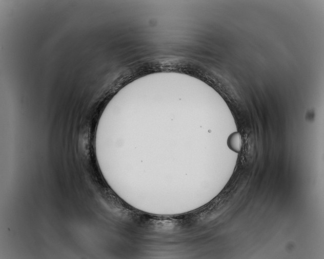 X0000100350698200807031814