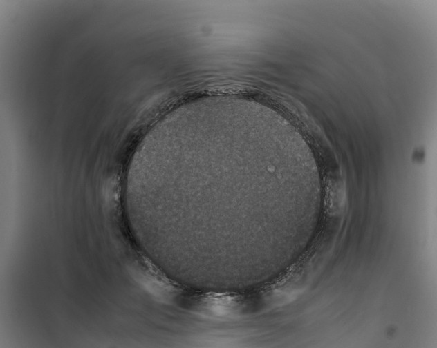 X0000100350701200807031814