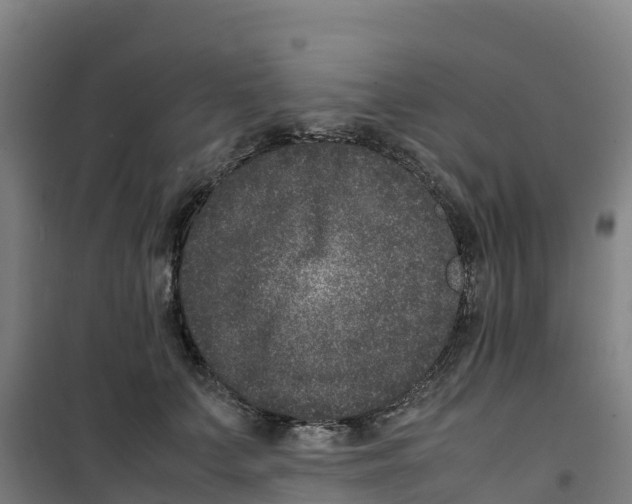 X0000100350703200807031814