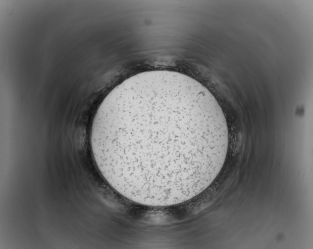 X0000100350704200807031814