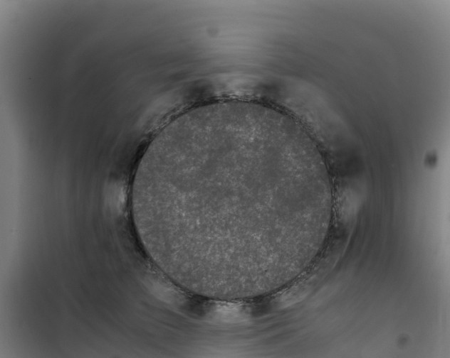 X0000100350709200807031814