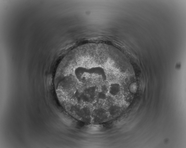 X0000100350711200807031814