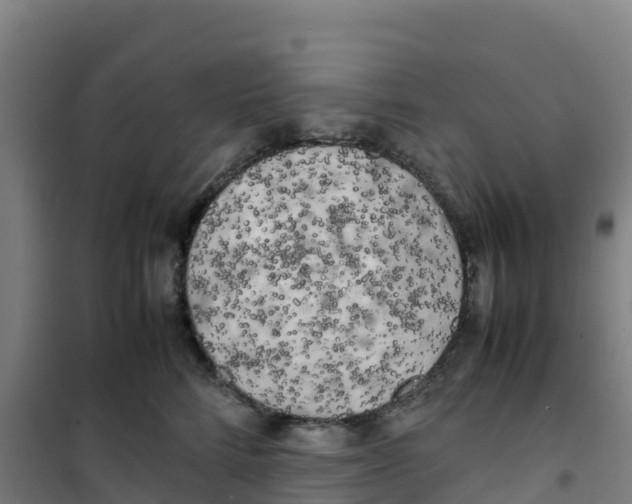 X0000100350712200807031814