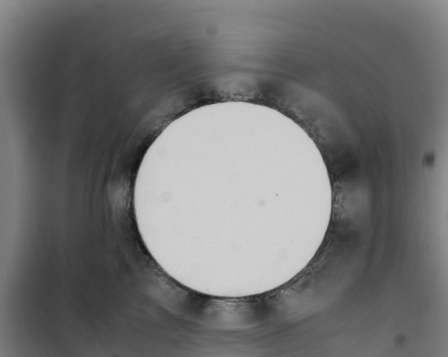 X0000100350713200807031814