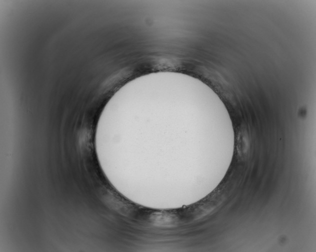 X0000100350714200807031814