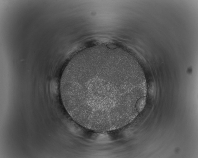 X0000100350715200807031814