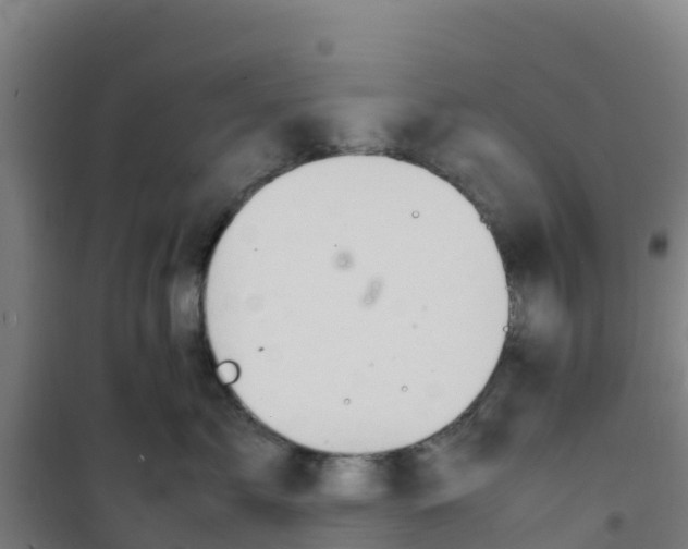 X0000100350717200807031814