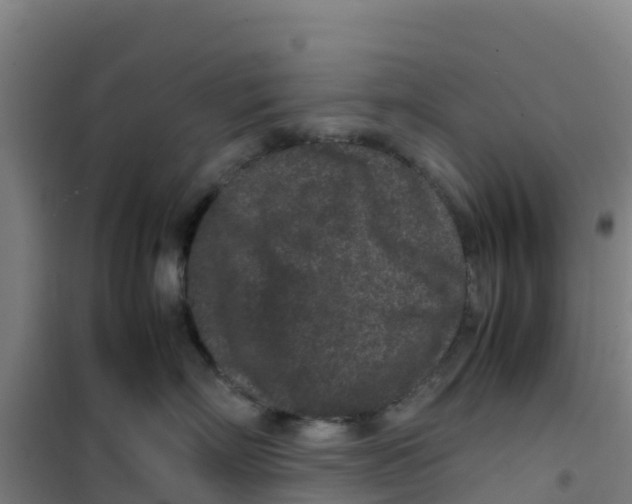 X0000100350718200807031814